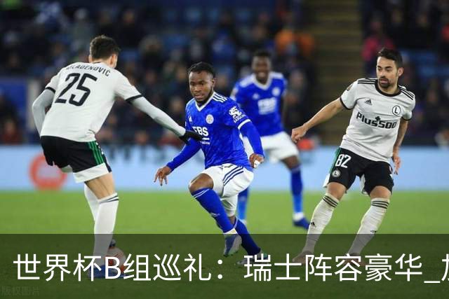 世界杯B组巡礼：瑞士阵容豪华 加拿大主场优势明显
