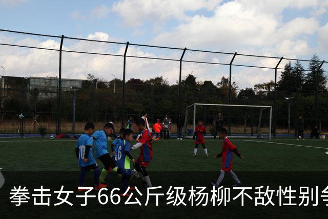 拳击女子66公斤级杨柳不敌性别争议选手摘银